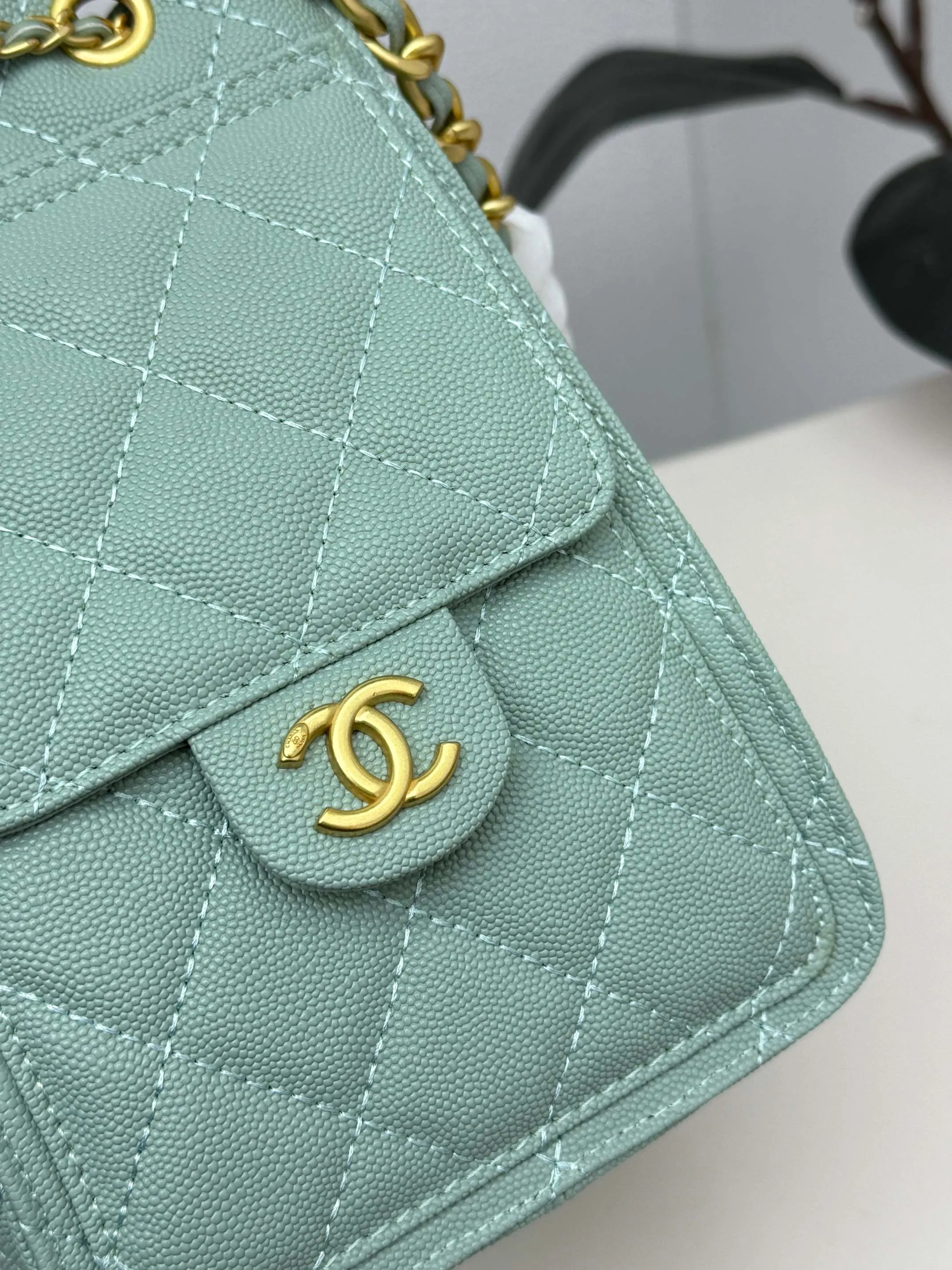 All Categories Chanel Women's Bags (Chanel) Chanel 3603
