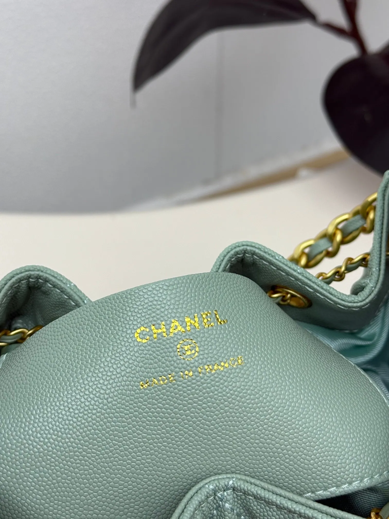 All Categories Chanel Women's Bags (Chanel) Chanel 3603