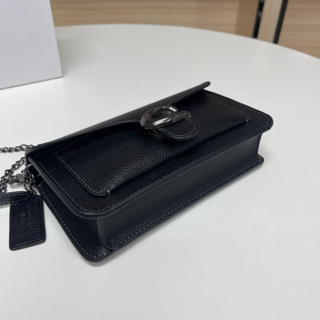 Top original order batch 460💰Coach new minitabby new Dionysus chain crossbody envelope bag model CE772 Size: 21×10×5cm
