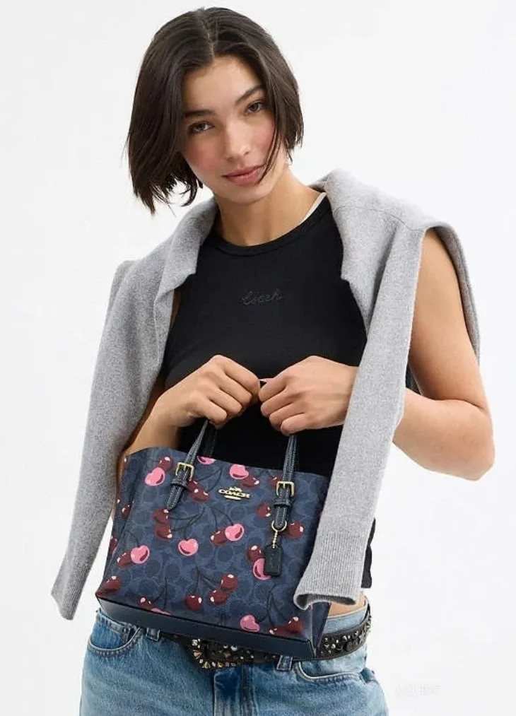 P340 [Top original order] Style number: CZ772 Size: 25*19*12cm