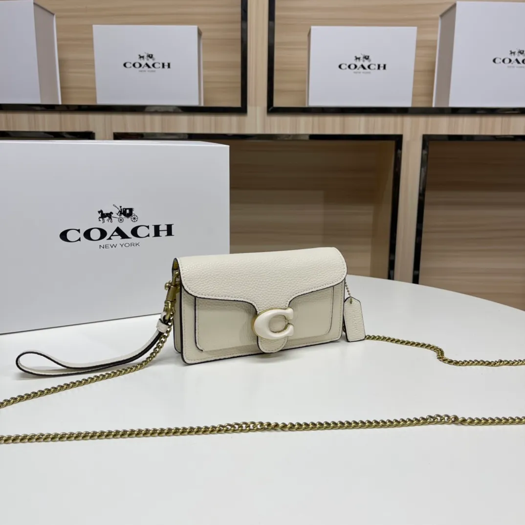 Top original order batch 460💰Coach new minitabby new Dionysus chain crossbody hand envelope bag model CJ925 Size: 18.5X11X3