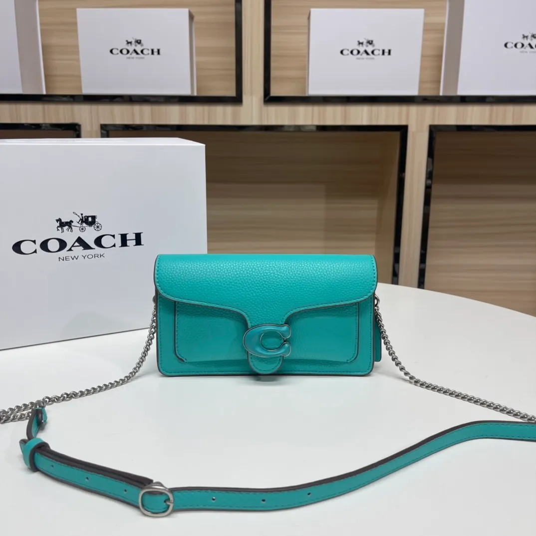 Top original order batch 460💰Coach new minitabby new Dionysian chain crossbody envelope bag model CE350 Size: 21×10×5cm