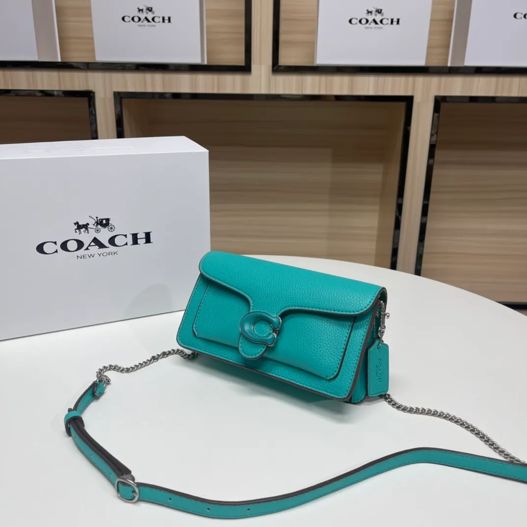 Top original order batch 460💰Coach new minitabby new Dionysian chain crossbody envelope bag model CE350 Size: 21×10×5cm