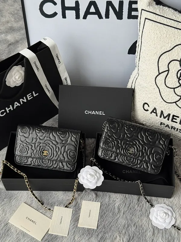 All Categories Chanel Women's Bag 2 (Chanel) Chanel Original Single AP380