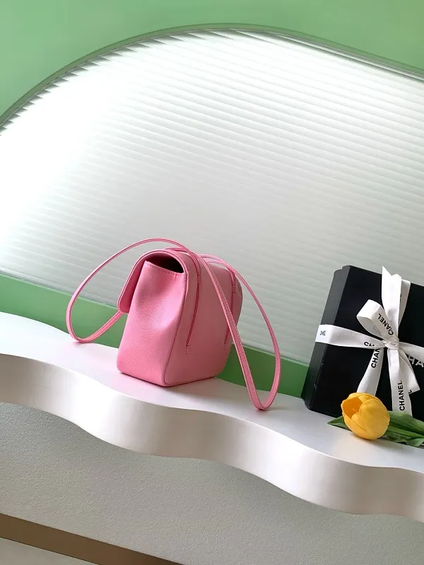 All Categories Chanel Women's Bags 2 (Chanel) Chanel Original Order AP6220