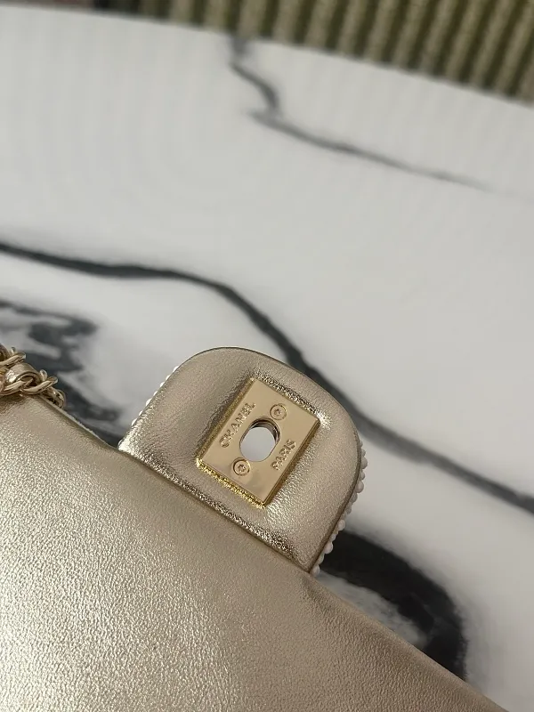 All Categories Chanel Women's Bags 2 (Chanel) Chanel 25s