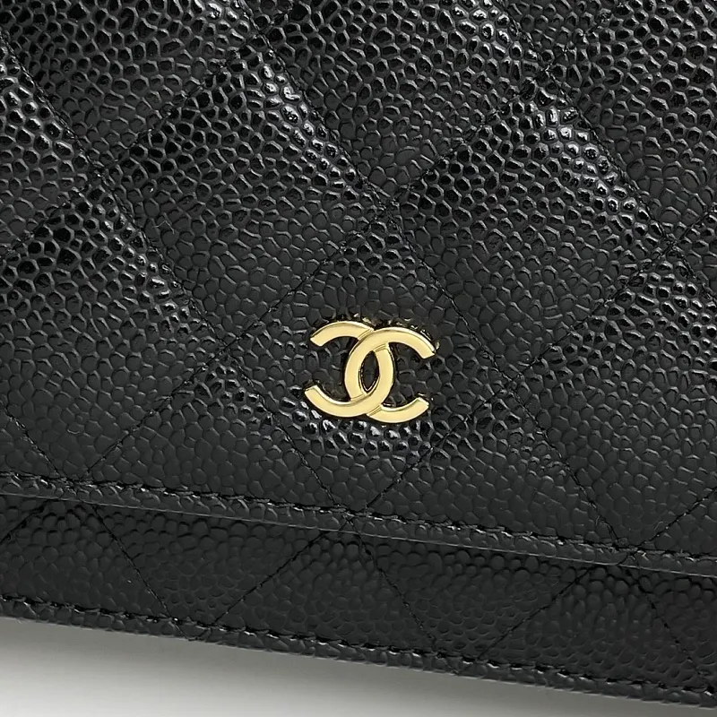 All Categories Chanel Women's Bags (Chanel) Chanel A33814