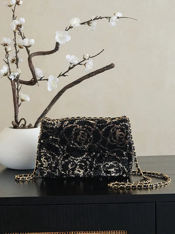All Categories Chanel Women's Bags (Chanel) Chanel 1421