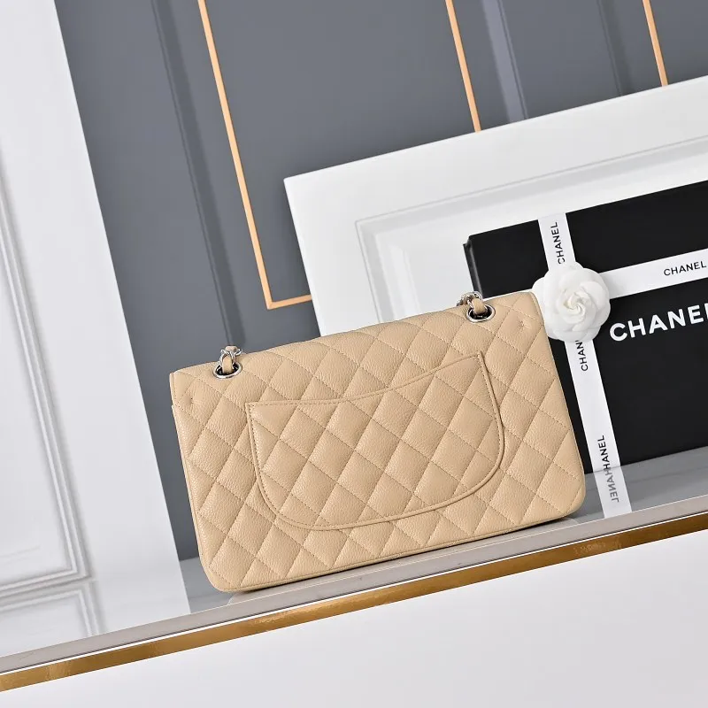 All Categories Chanel Women's Bags 2 (Chanel) Chanel Original Order 1112 All Steel