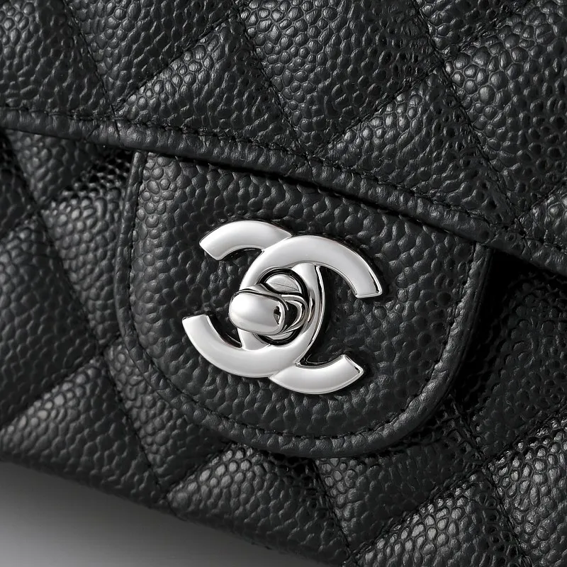 All Categories Chanel Women's Bags 2 (Chanel) Chanel Original Order 1112 All Steel