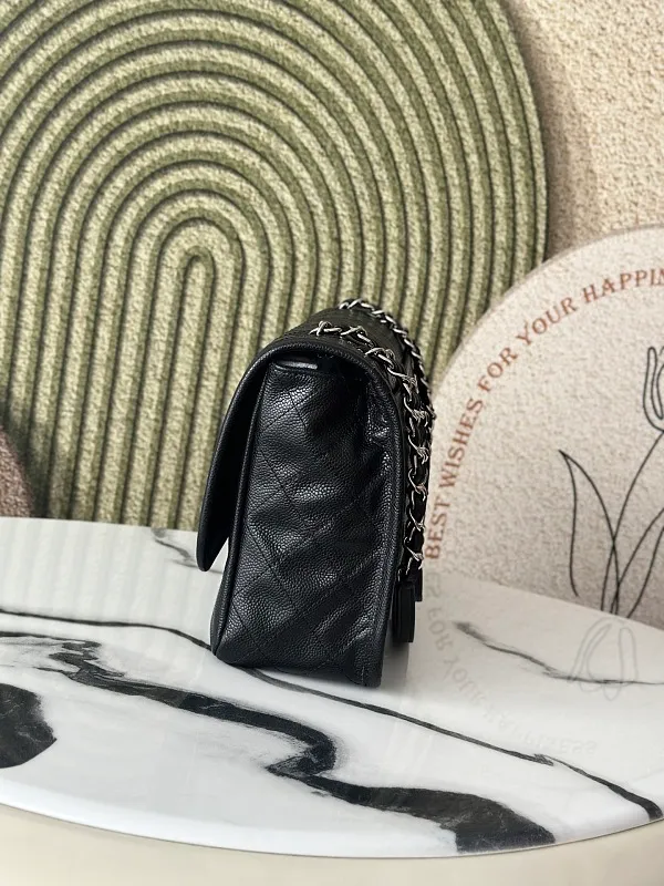 All Categories Chanel Women's Bags (Chanel) Chanel 3313