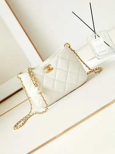 All Categories Chanel Women's Bag 2 (Chanel) Chanel Original Order AS4859