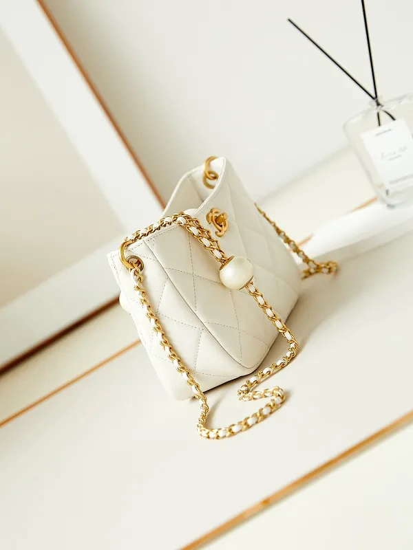 All Categories Chanel Women's Bag 2 (Chanel) Chanel Original Order AS4859