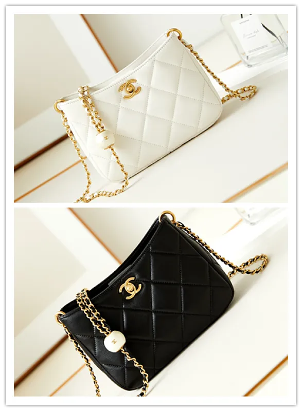 All Categories Chanel Women's Bag 2 (Chanel) Chanel Original Order AS4859