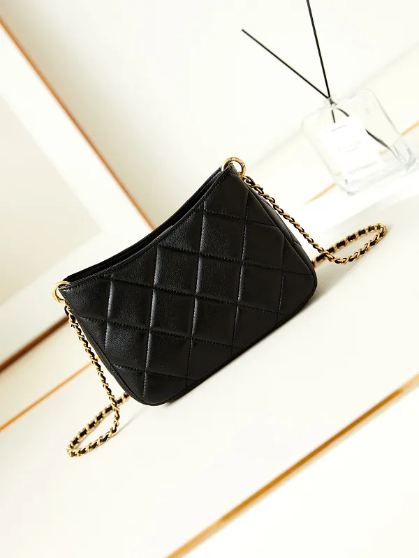 All Categories Chanel Women's Bag 2 (Chanel) Chanel Original Order AS4859