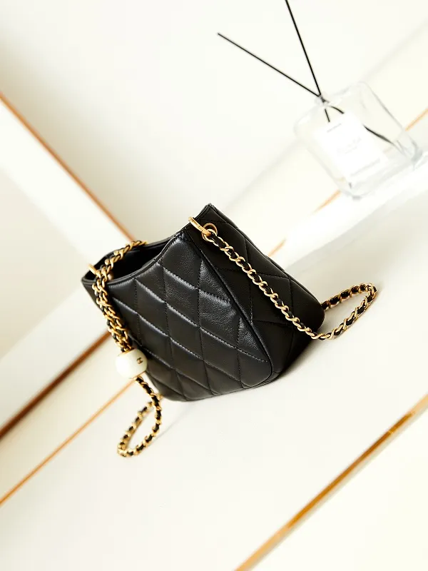 All Categories Chanel Women's Bag 2 (Chanel) Chanel Original Order AS4859
