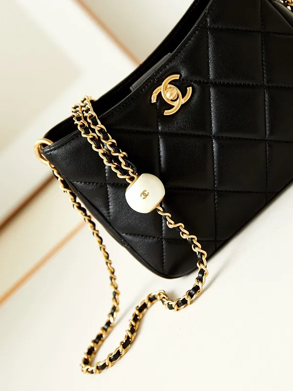 All Categories Chanel Women's Bag 2 (Chanel) Chanel Original Order AS4859