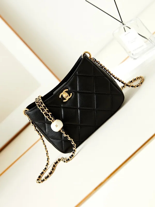 All Categories Chanel Women's Bag 2 (Chanel) Chanel Original Order AS4859