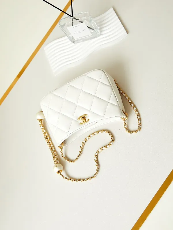 All Categories Chanel Women's Bag 2 (Chanel) Chanel Original Order AS4859