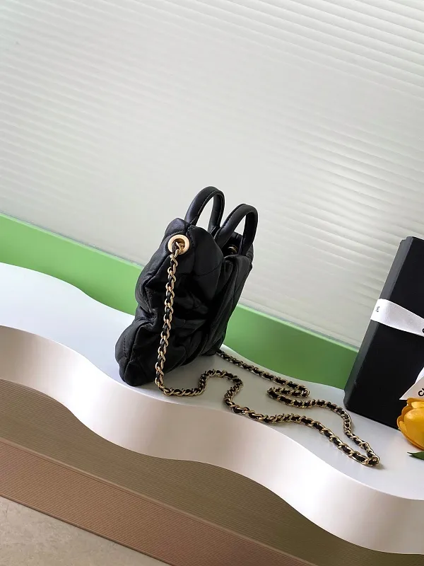 All Categories Chanel Women's Bag 2 (Chanel) Chanel Original Order S5849