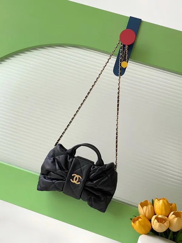 All Categories Chanel Women's Bag 2 (Chanel) Chanel Original Order S5849