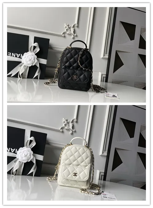All Categories Chanel Women's Bags 2 (Chanel) Chanel Original Order AP3663