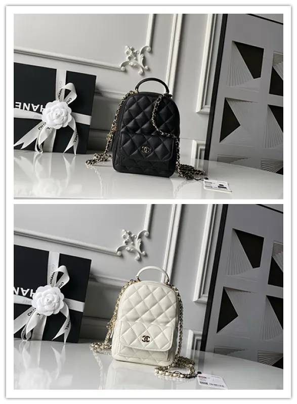 All Categories Chanel Women's Bags 2 (Chanel) Chanel Original Order AP3663