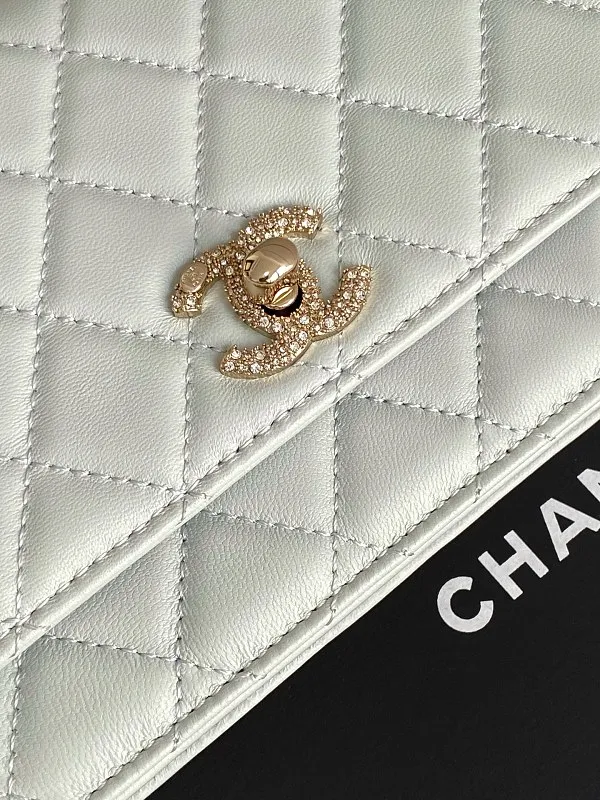 All Categories Chanel Women's Bags 2 (Chanel) Chanel Original Order AP4413