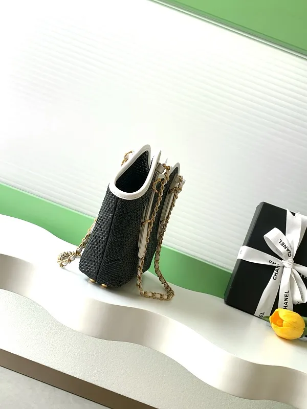 All Categories Chanel Women's Bags 2 (Chanel) Chanel Original AS6015