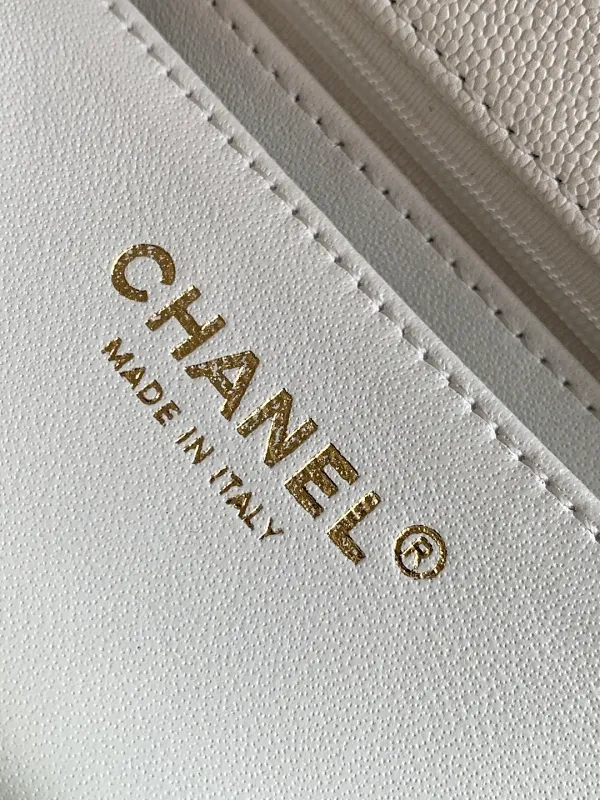 All Categories Chanel Women's Bags (Chanel) Chanel AS2431