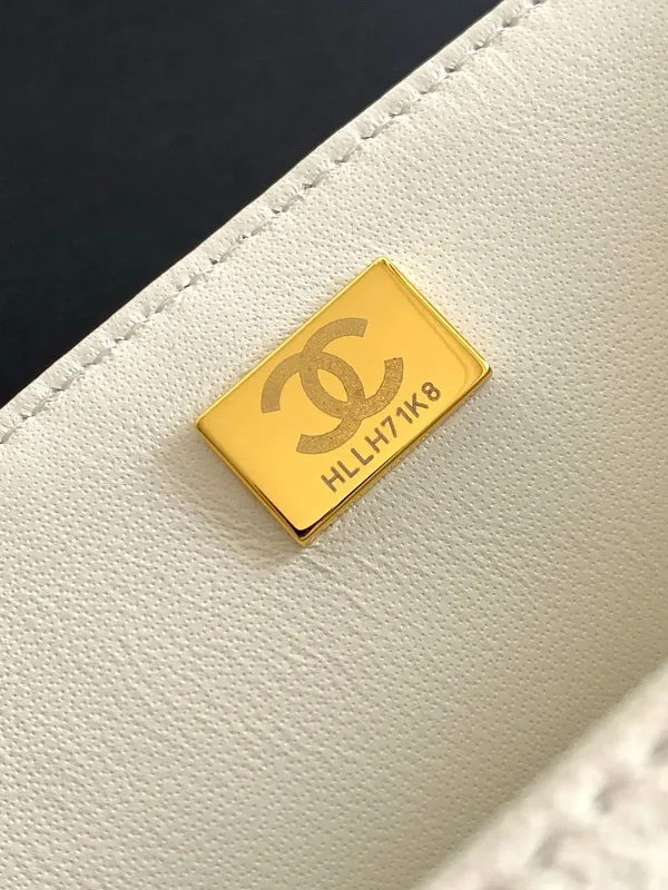 All Categories Chanel Women's Bags (Chanel) Chanel AS2431