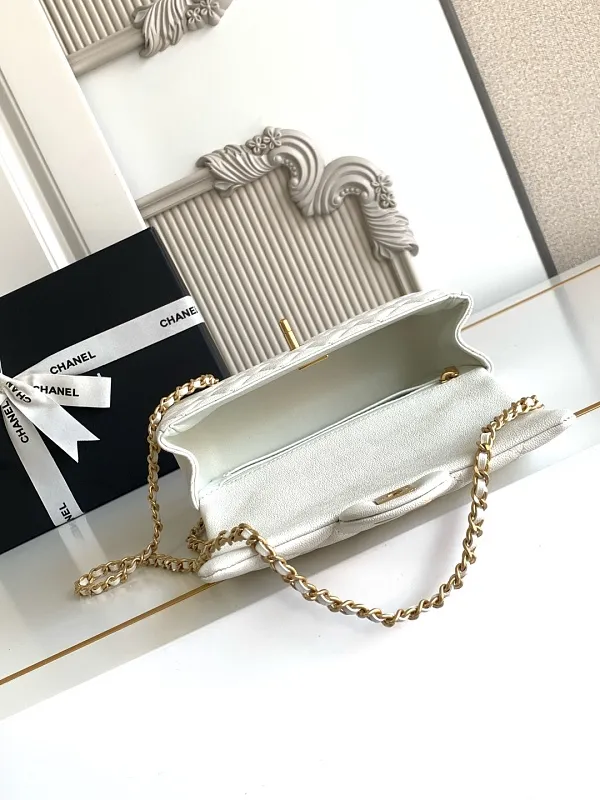 All Categories Chanel Women's Bags (Chanel) Chanel AS2431