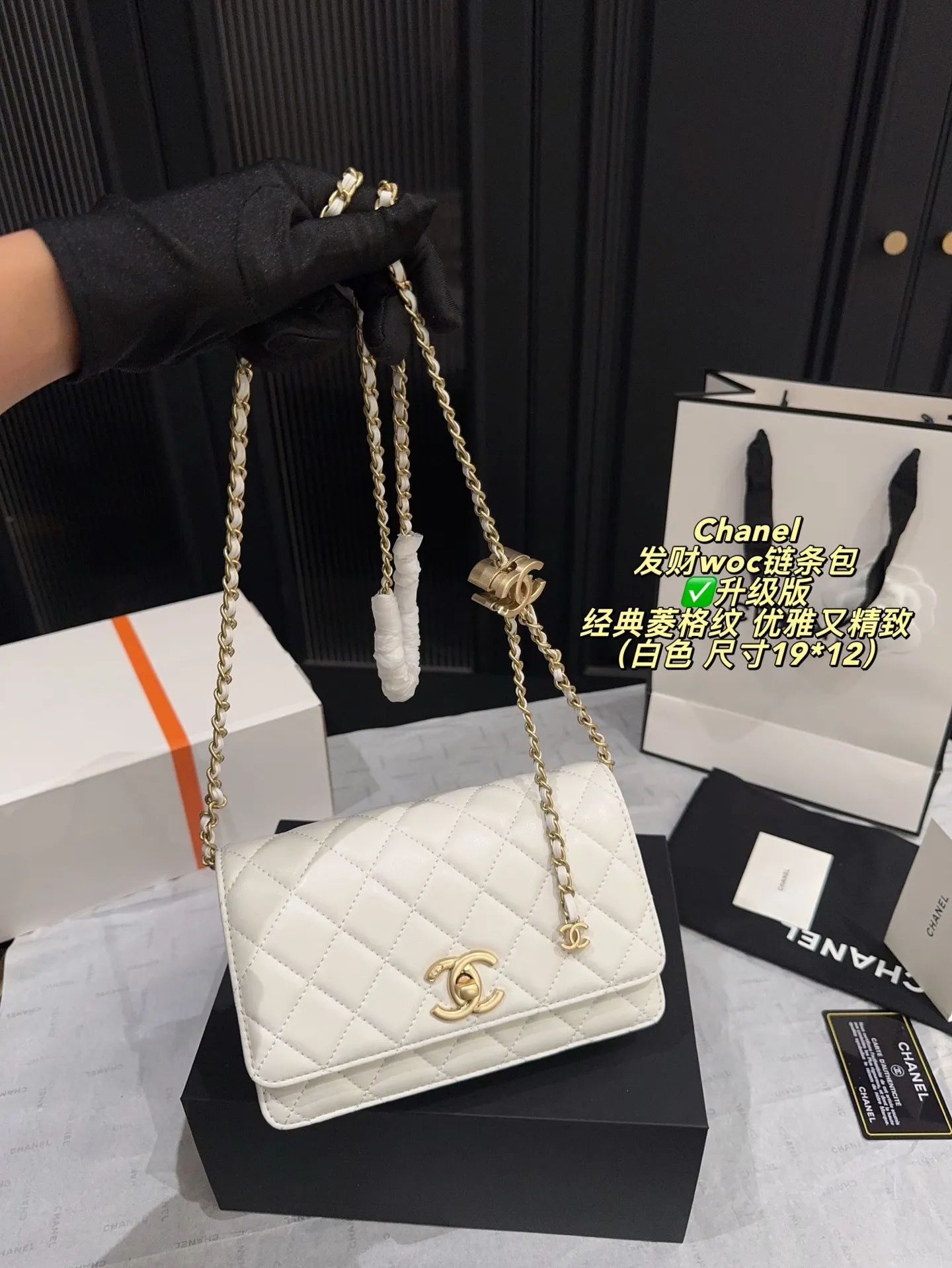 All Categories Official Website "Brand Women's Bags" Women's Bags 💙 Chanel 2025 New CHANEL Crossbody Bag
