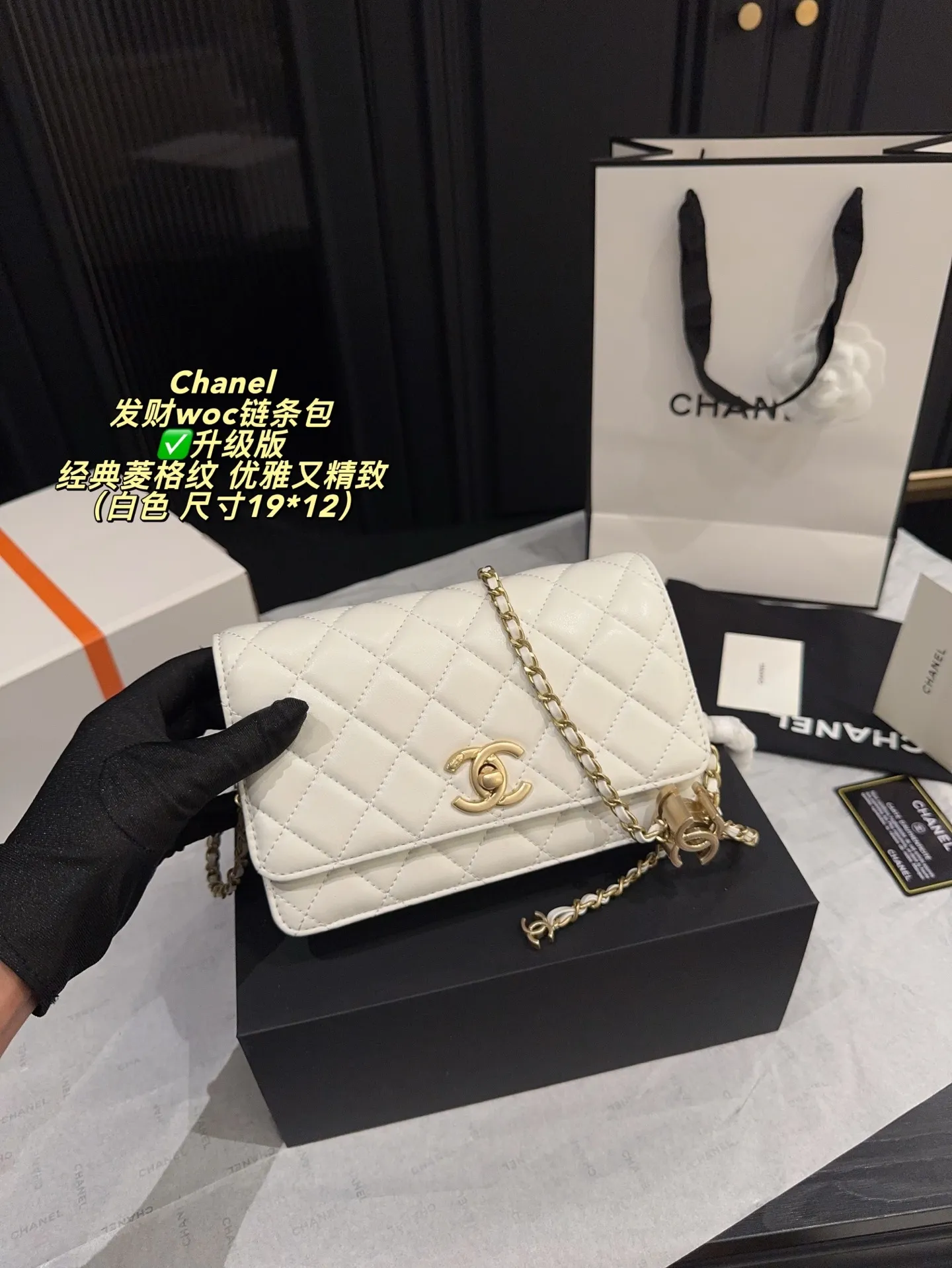 All Categories Official Website "Brand Women's Bags" Women's Bags 💙 Chanel 2025 New CHANEL Crossbody Bag