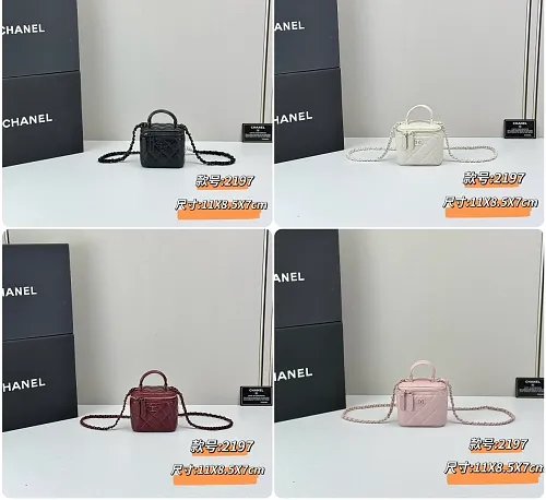 All Categories Chanel Women's Bags (Chanel) Chanel 2197