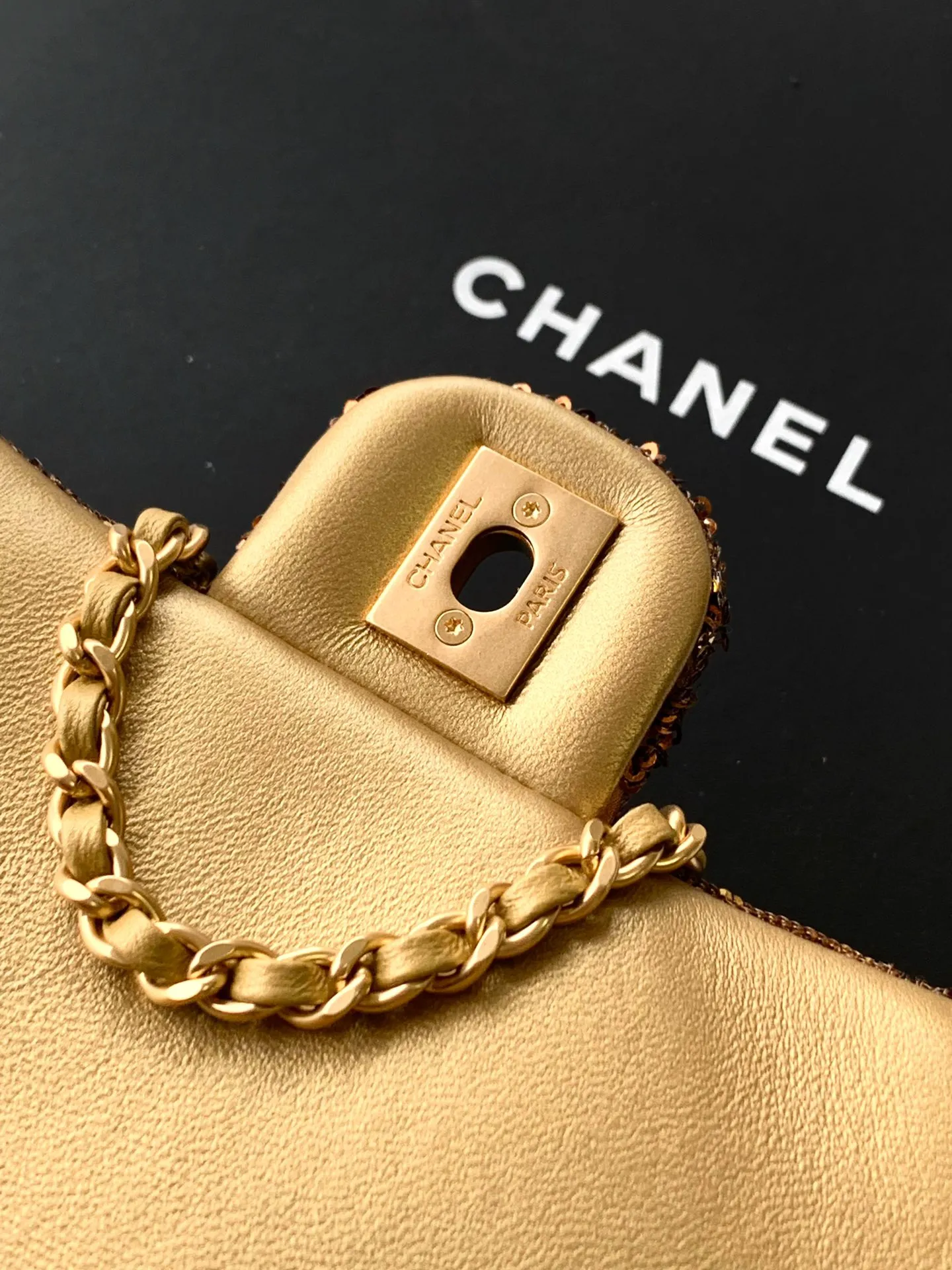 All Categories Chanel Women's Bags (Chanel) Chanel 2520