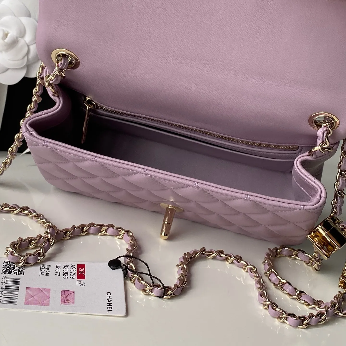 All Categories Chanel Women's Bag 2 (Chanel) Chanel Original Order AS5759