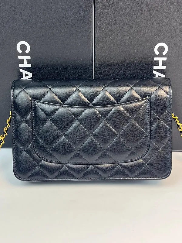 All Categories Chanel Women's Bags (Chanel) Chanel 794