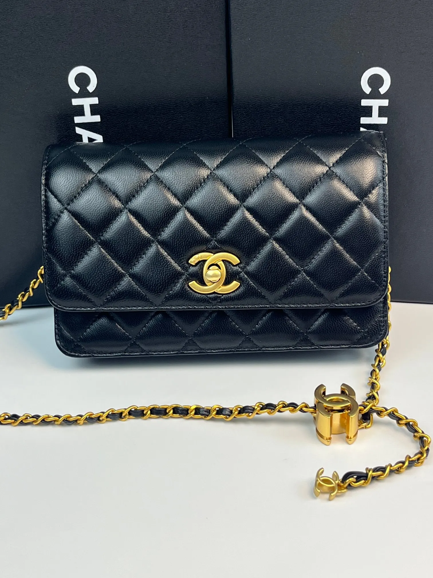 All Categories Chanel Women's Bags (Chanel) Chanel 794
