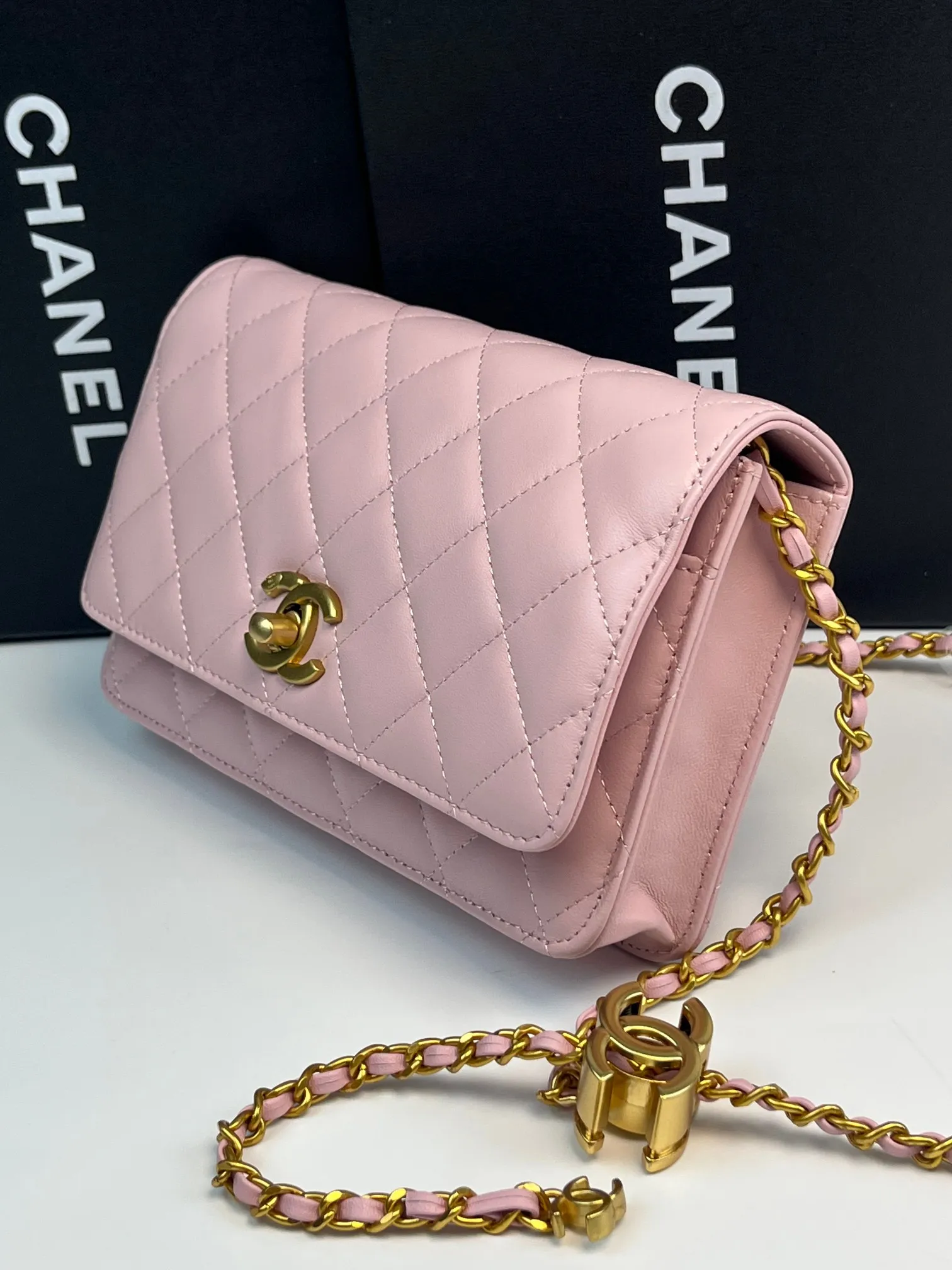 All Categories Chanel Women's Bags (Chanel) Chanel 794