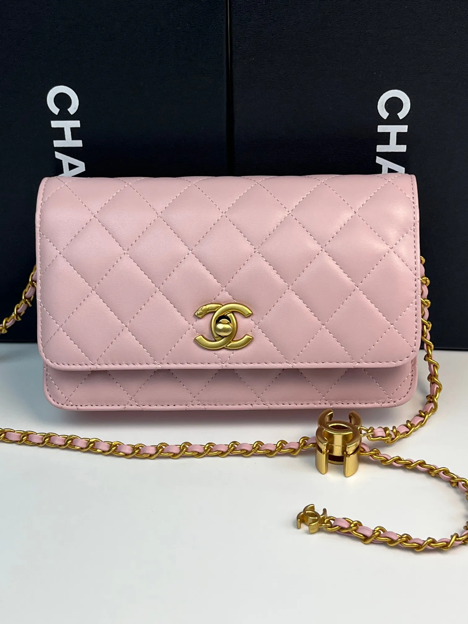 All Categories Chanel Women's Bags (Chanel) Chanel 794