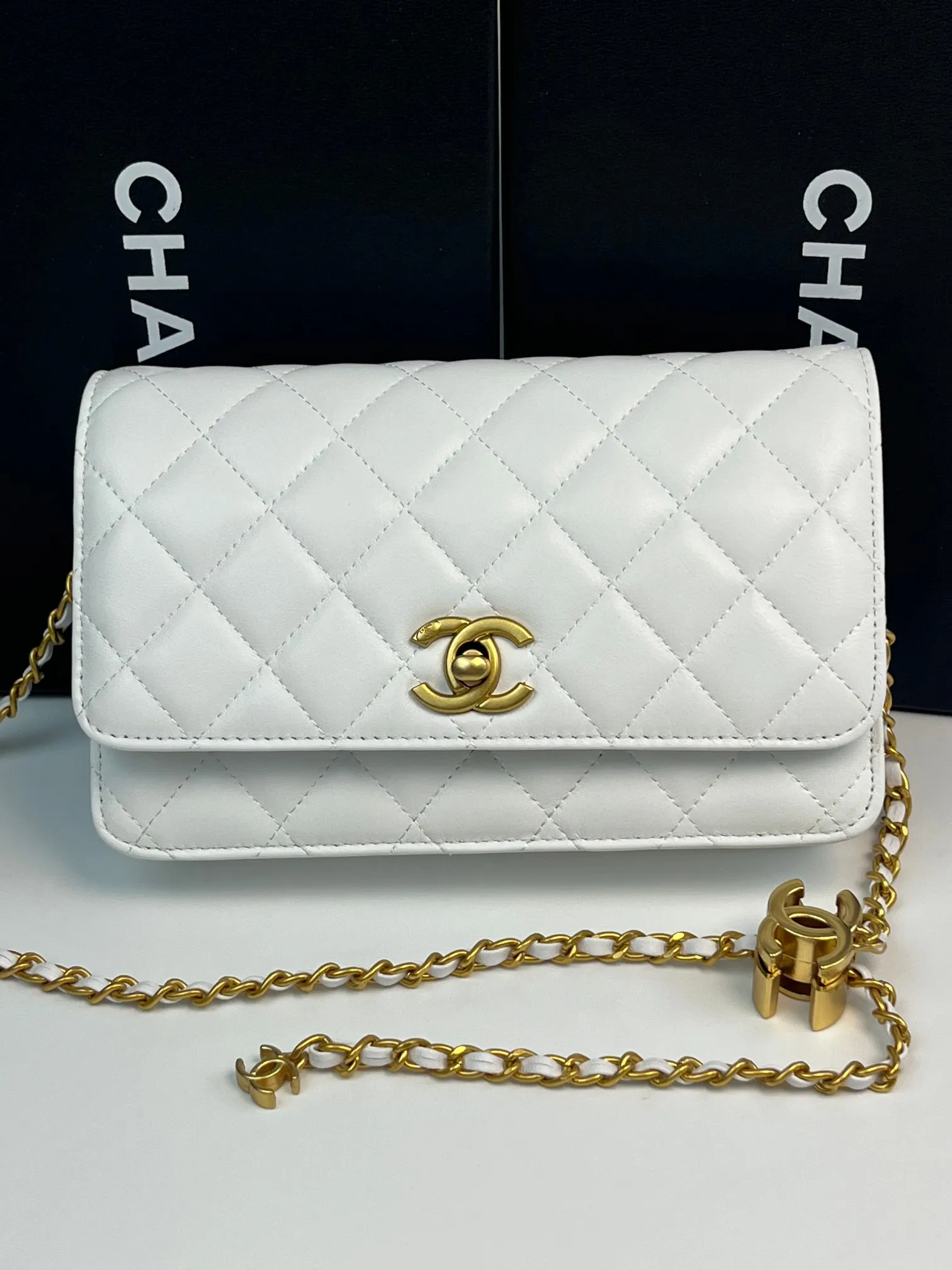 All Categories Chanel Women's Bags (Chanel) Chanel 794