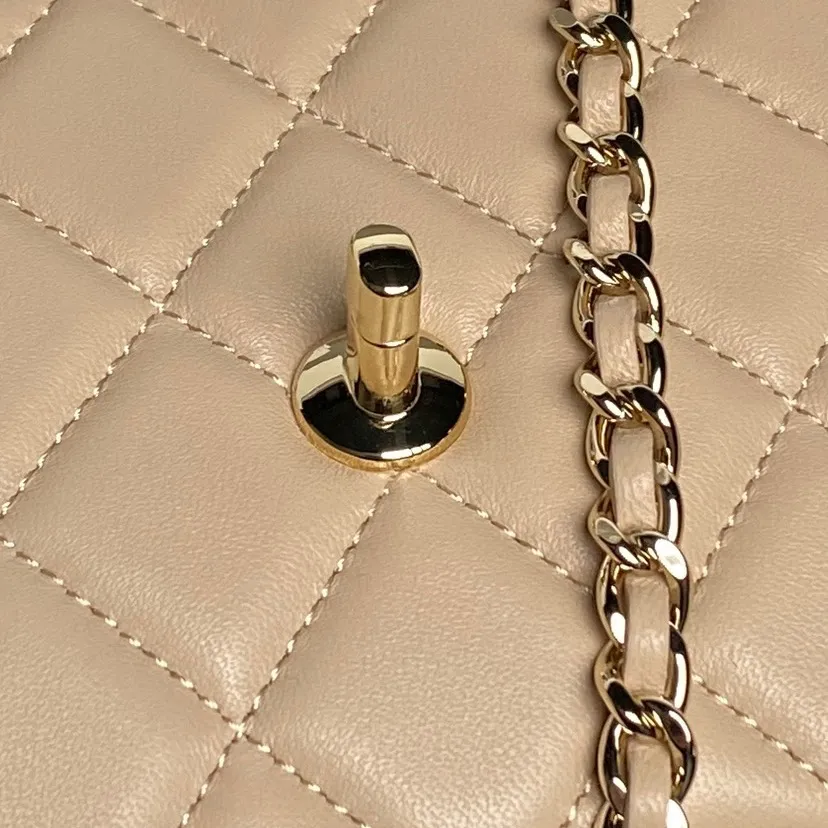 All Categories Chanel Women's Bag 2 (Chanel) Chanel Original Order AP4592
