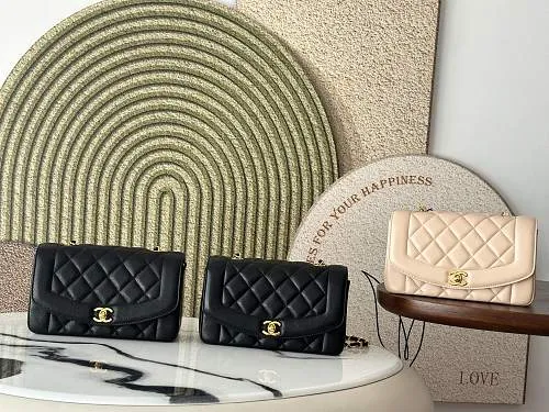 All Categories Chanel Women's Bags (Chanel) Chanel A2221