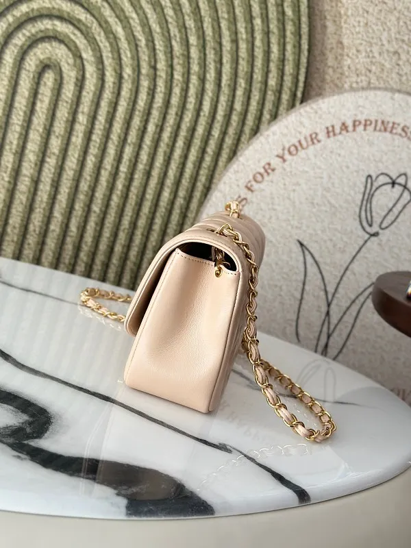 All Categories Chanel Women's Bags (Chanel) Chanel A2221
