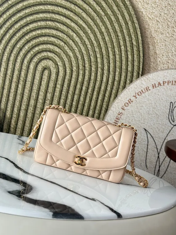 All Categories Chanel Women's Bags (Chanel) Chanel A2221