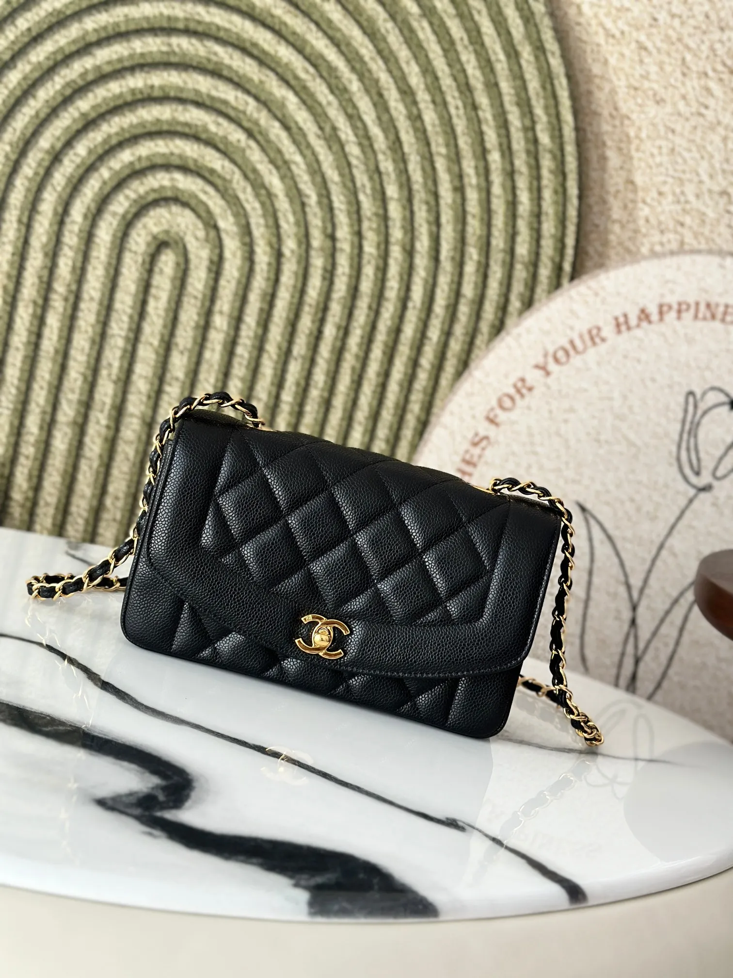 All Categories Chanel Women's Bags (Chanel) Chanel A2221