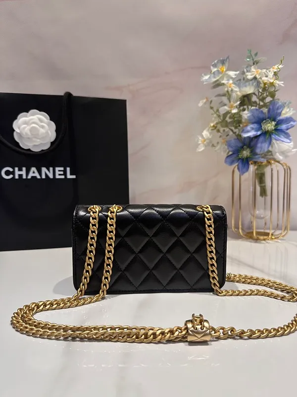 All Categories Chanel Women's Bags (Chanel) Chanel 3047
