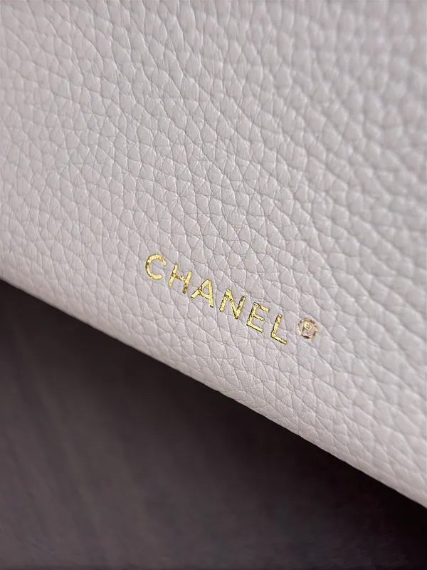All Categories Chanel Women's Bags (Chanel) Chanel AS6473