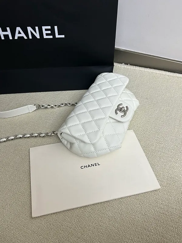 All Categories Chanel Women's Bags (Chanel) Chanel 2610